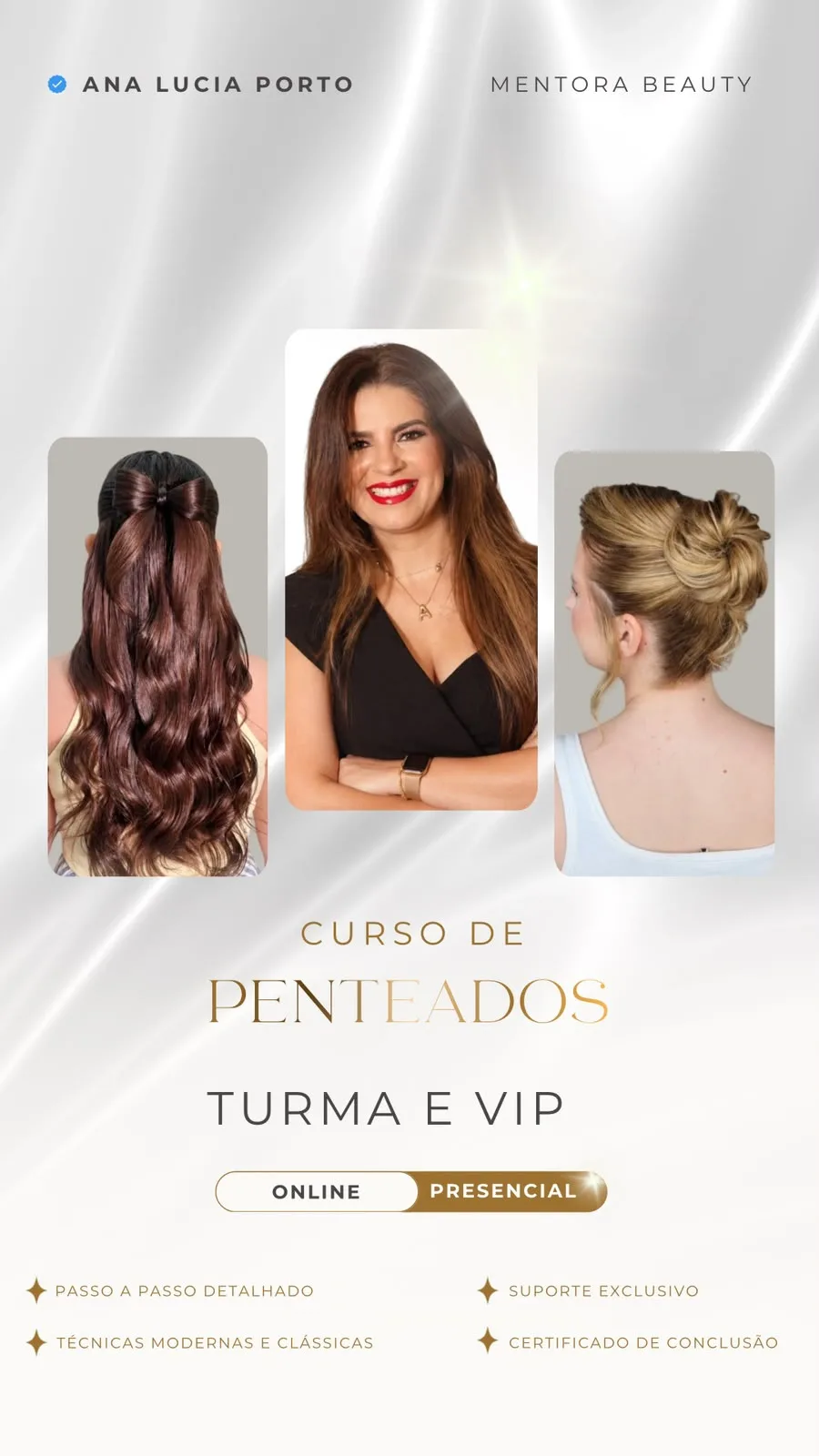 Arte do curso de Penteados com Ana Lucia Porto, formatos turma e VIP, suporte e certificado de conclusão